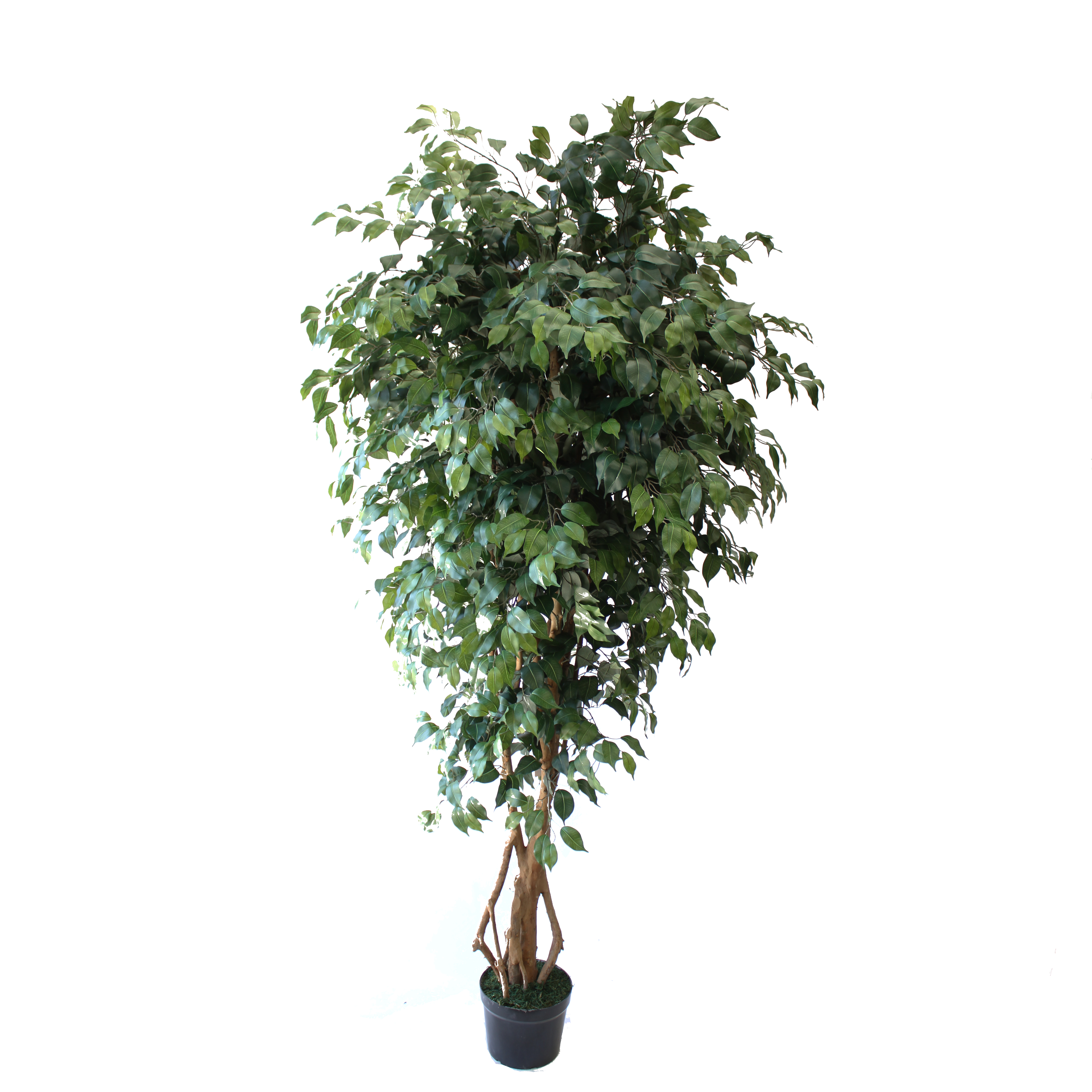 Artificial Trees