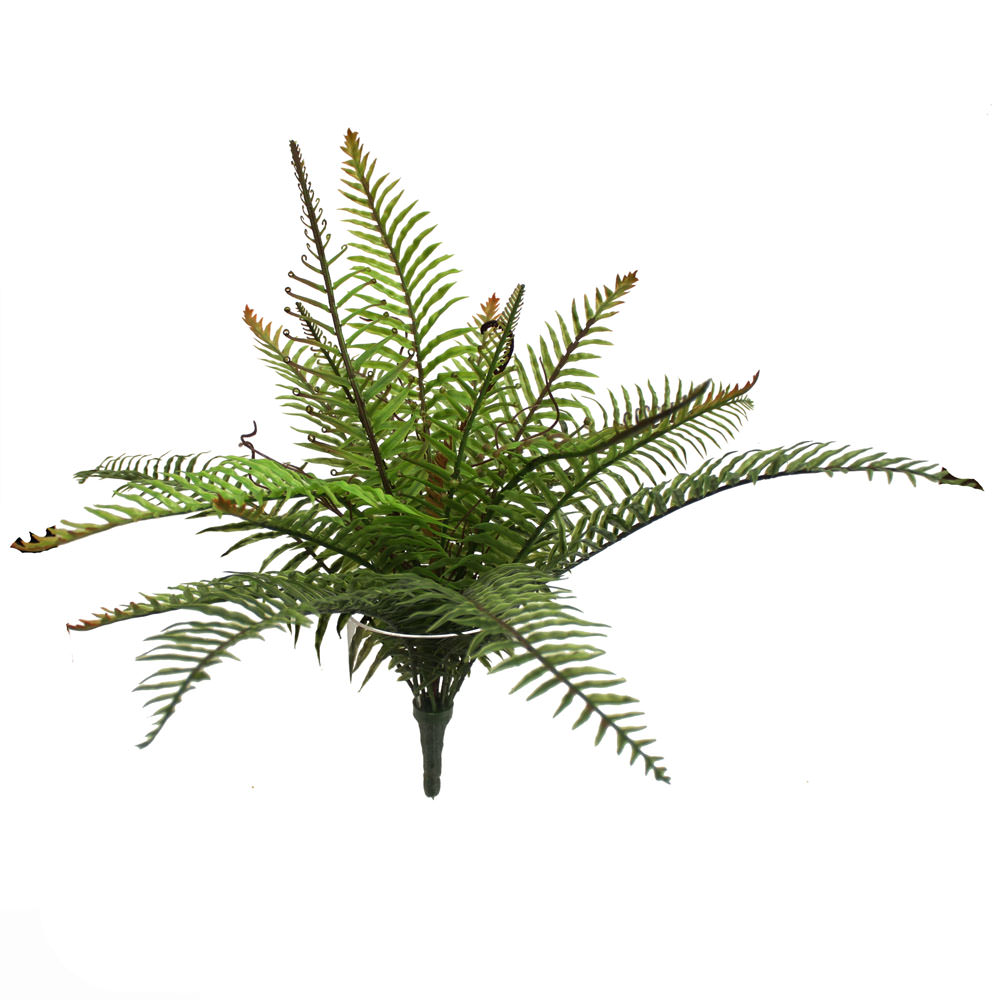 Artificial Ferns