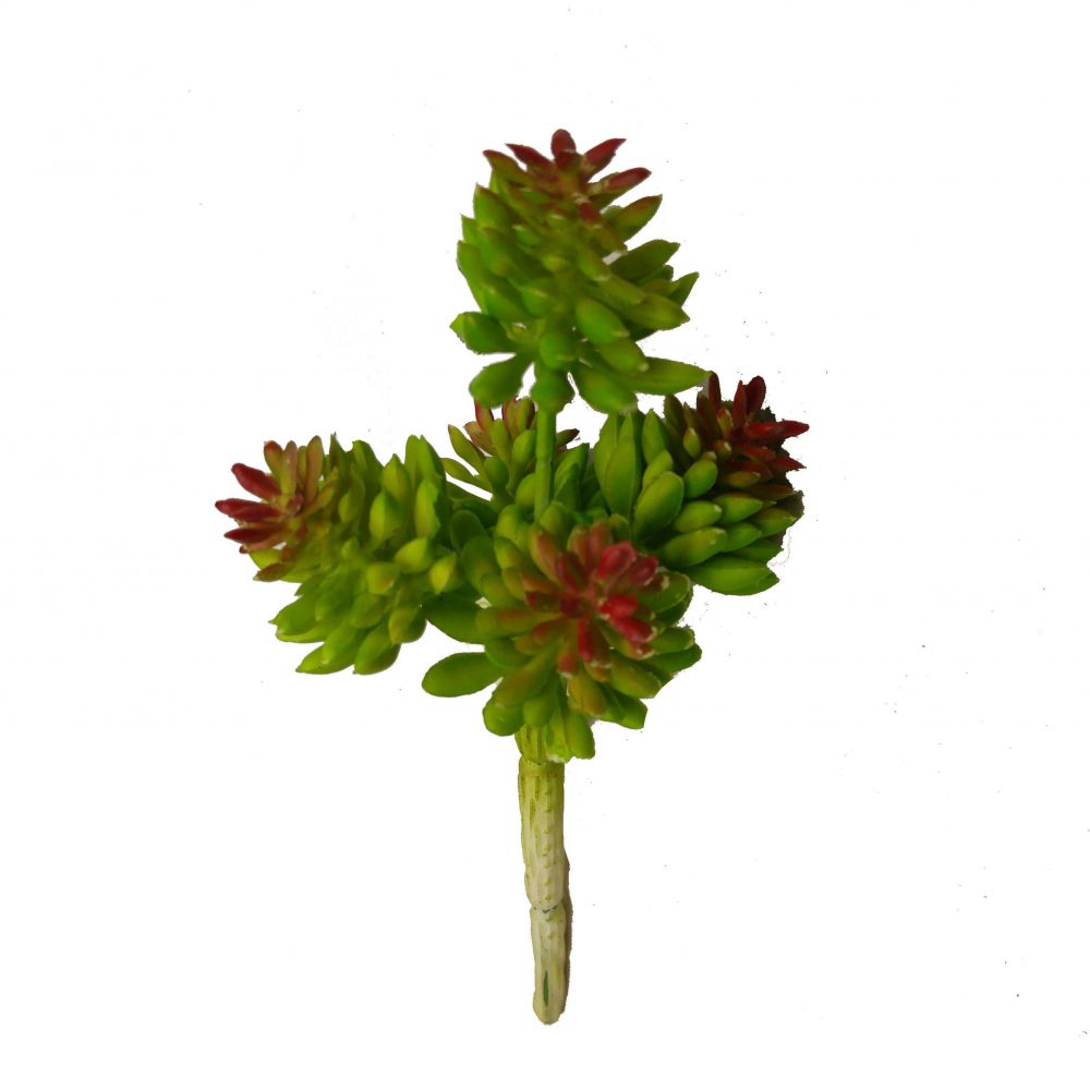 Cactus & Artificial Succulents