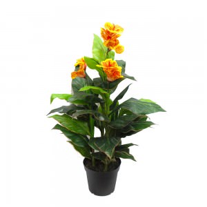 Shrubs & Artificial flowering plants