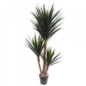 Dracaena & Artificial Yucca