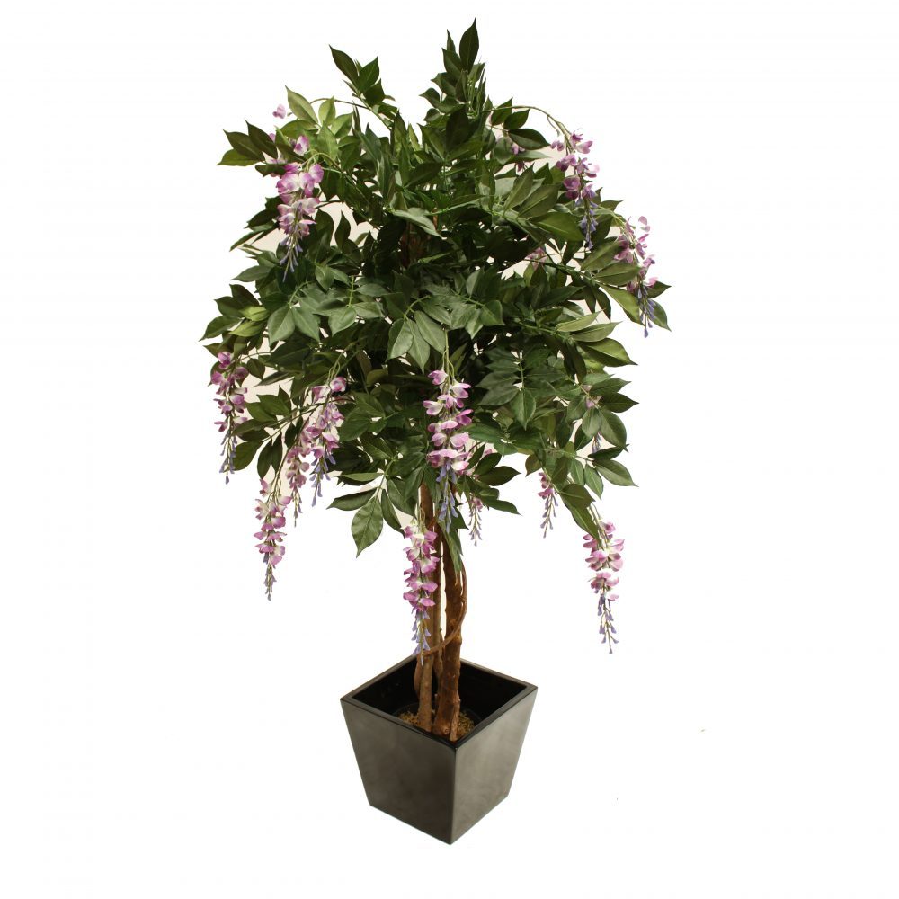 Wisteria Tree 1.2m Lilac With Fibreglass Pot