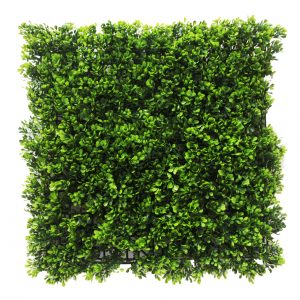 Buxus Matt 50x50cm Uv Stabilised