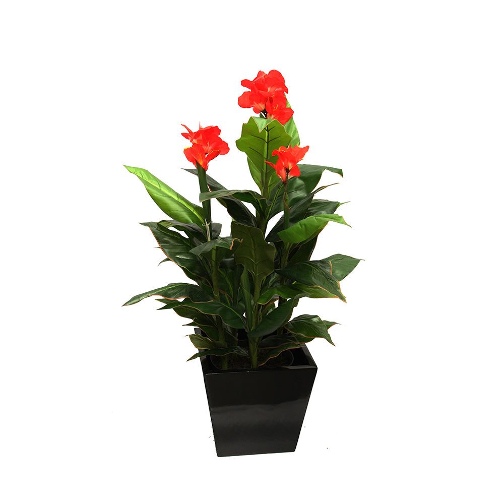 Canna Plant 1.2m With Fibreglass Pot