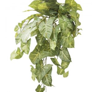 Deluxe Syngonium Vine 70cm