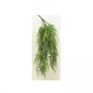 Hanging Fern Vine 70cm