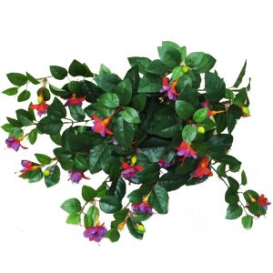 Fuchsia Vine 50cm