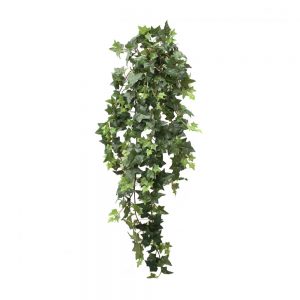 Sage Ivy Hanging Vine 1m