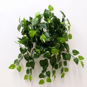 Pothos Vine 58cm With 180 UV Stabilised Leaves