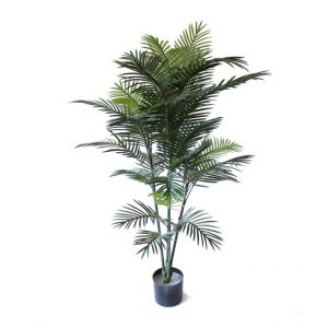 Areca Palm 1.5m UV Stabilised
