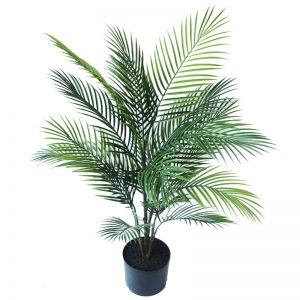 Areca Palm 90cm