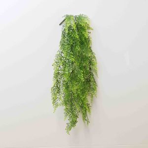 Hanging Ruffle Fern 80cm