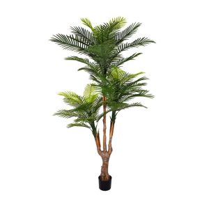 2.2m Robellini Palm UV Stabilised