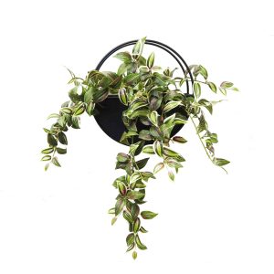 half moon planter | hangin plants | fake plants | wandering jew