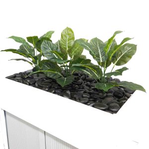 Plants for Planter Box
