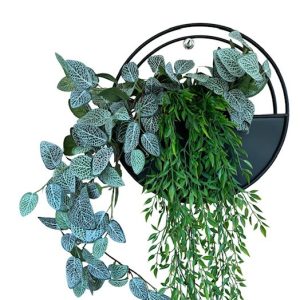 Fittonia and Ruccus Vine Wall Planter