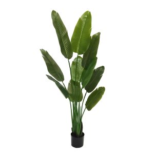 Traveller Palm Real Touch 150cm UV Stabilised
