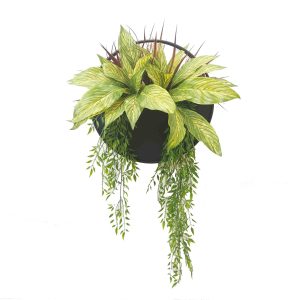 Hanging Wall Planters
