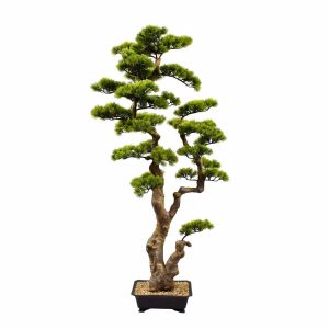 Bonsai Cypress Pine Tree UV Stabilised 130cm