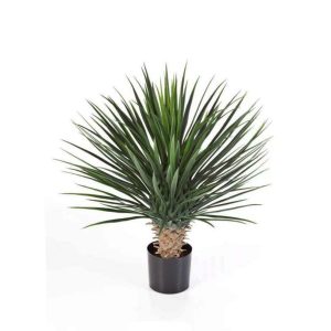 Yucca Tree 75cm UV Stabilised