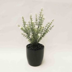 Baby’s Breath Bush with White Flowers 35cm Complete in Decorative Fiberglass Pot