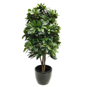Artificial Lady Schefflera Tree 180cm with Fiberglass Pot