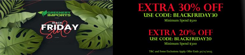 *** Black Friday Sale Now ON!! ***